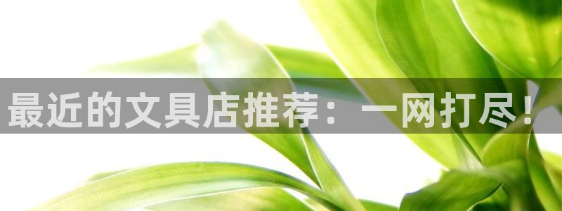 九游会财神：最近的文具店推荐：一网打尽！