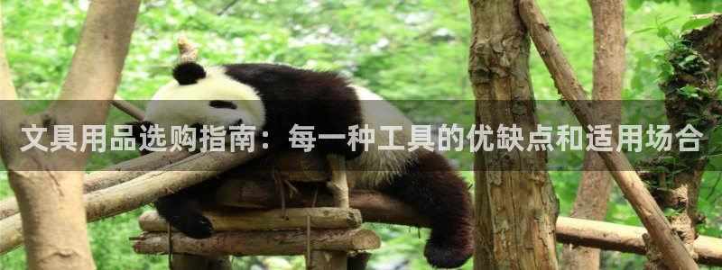 j9九游会赌场：文具用品选购指南：每一种