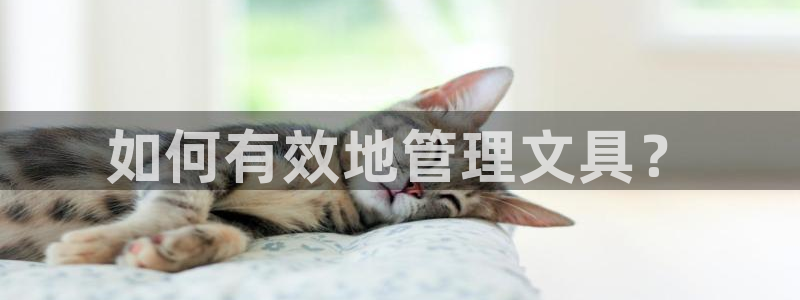 AG九游会www：如何有效地管理文具？