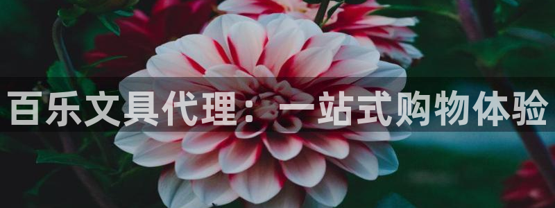 九游会官网注册会员：百乐文具代理：一站式