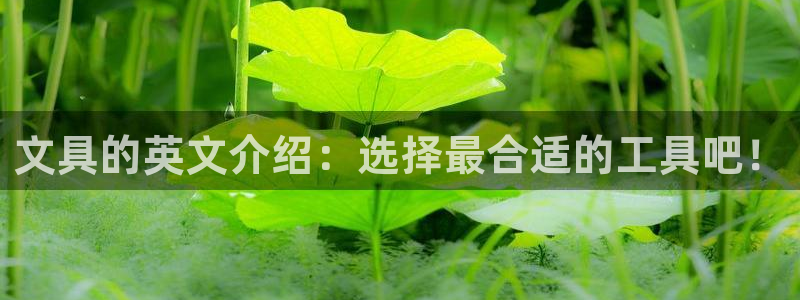 九游会棋牌：文具的英文介绍：选择最合适的