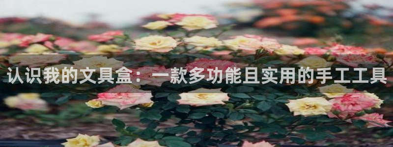 九游会亚洲游戏：认识我的文具盒：一款多功